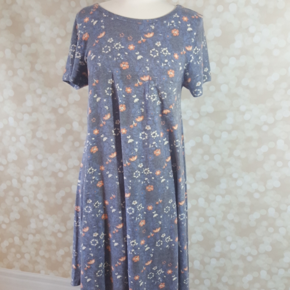 Lularoe Carly Swing Dress SM